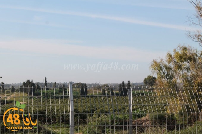 re7la janob (52).JPG